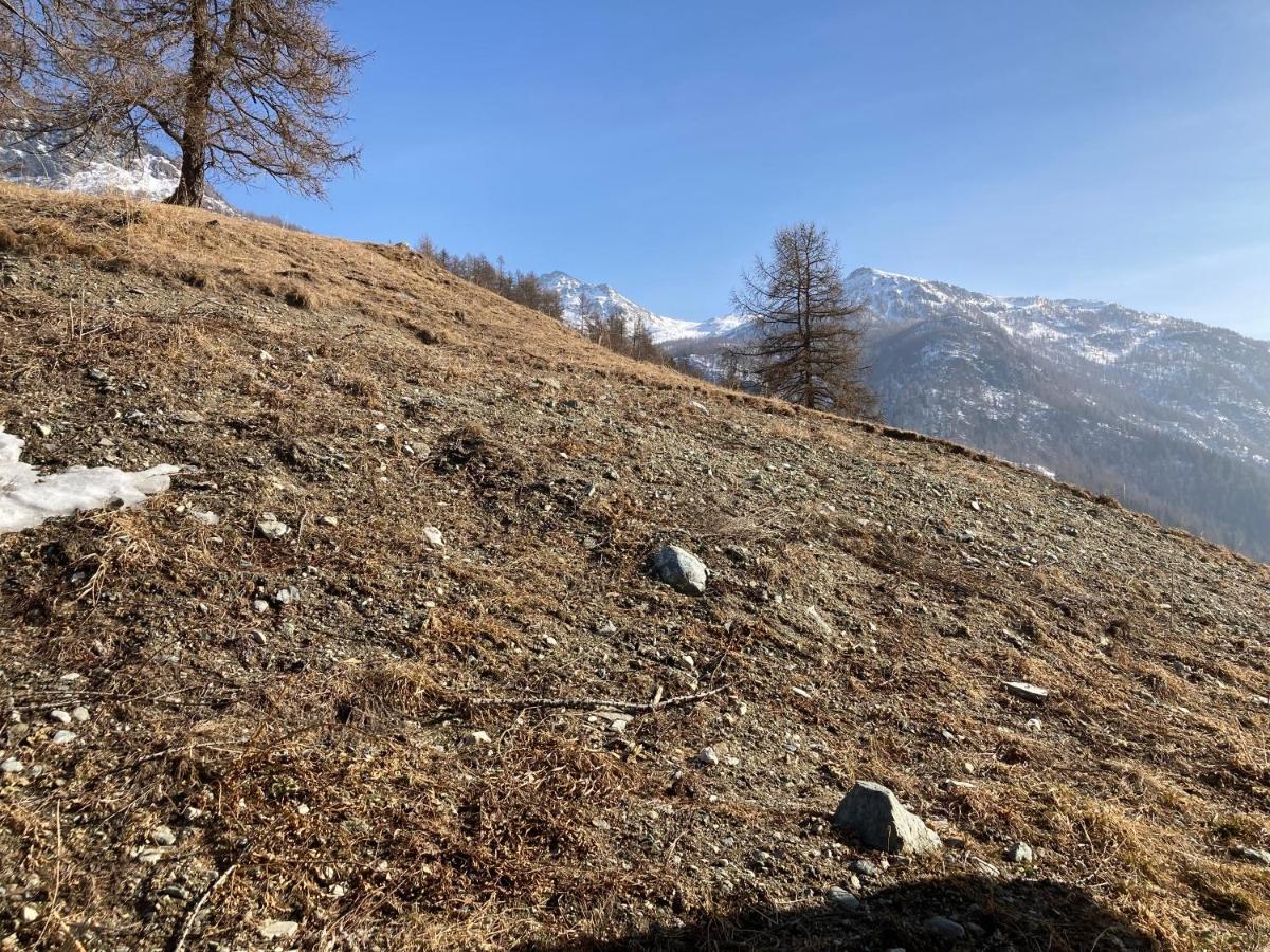 La Maison Du Cre Valtournenche Buitenkant foto
